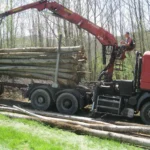 Camion de bois en grume – Hêtre, Chêne, Charme – 50 stères
