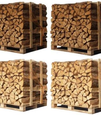 4 X Palettes (2 chêne blanc + 2 Hêtre - Charme) – Bûches de 33 cm - André Forest