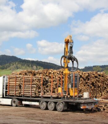Camion de bois en grume – Hêtre – 60 stères - André Forest